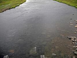 Streams of water in a small river. The flow of water. photo