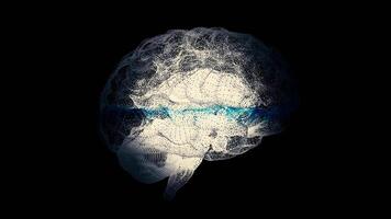 3d hacer radiografía estilo imagen de humano cerebro giratorio. humano cerebro siendo formado por giratorio partículas cerebro conectar digital líneas, en expansión artificial inteligencia. radiografía llamarada cerebro, biología video