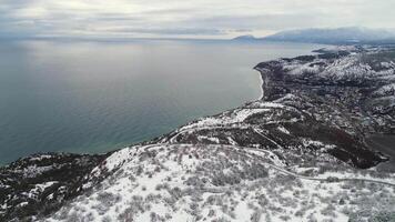 lindo inverno marinha com Nevado Campos, floresta e azul mar em cinza, nublado céu fundo. tomada. aéreo para inverno litoral com Nevado árvores e Campos. video