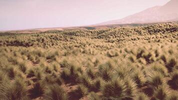 Red Rock Canyon National Park video