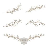 Leaf Wedding Ornament Design Element Collection vector