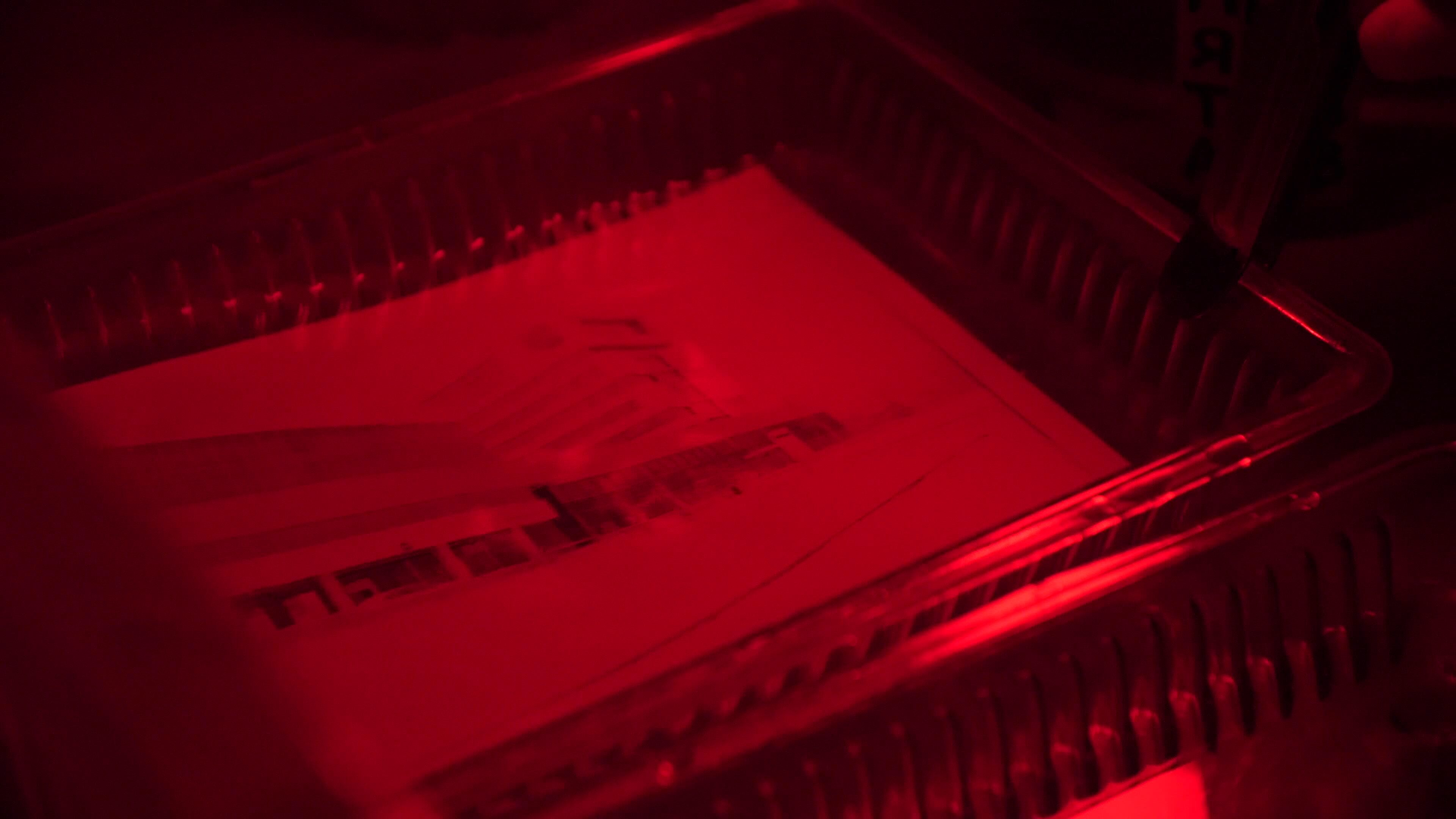 Retro print photos in the darkroom. Darkroom to develop film and create