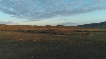 meraviglioso Alba mattina campo. sparo. sfondo colline coperto di arbusti e alberi sotto nuvoloso cielo video