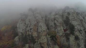 de cerca de enorme acantilado rocas en niebla. disparo. otoño paisaje video