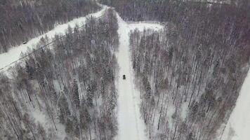 leger apc in de bossen gedurende leger opdrachten. klem. top visie van leger gepantserd personeel dragers in de Woud in winter video