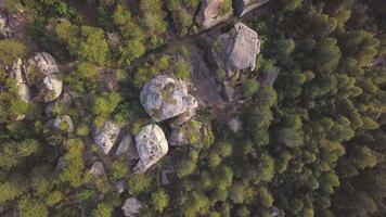 Standing stones and beautiful view in forest, top view. Clip. Rock among tall pine trees against the backdrop of view of a densely overgrown spruce forest video