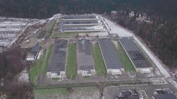 skjul på de odla, antenn se. klämma. antenn se av industriell kyckling hus i de skog video