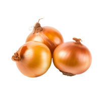 AI generated Onions isolated on a transparent background. png