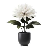 AI generated Flower tree in the pot isolated on a transparent background. png