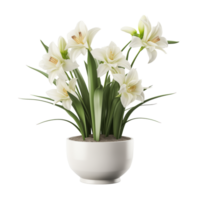 AI generated Flower tree in the pot isolated on a transparent background. png