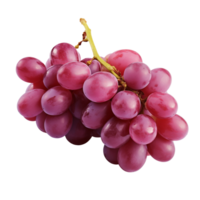 AI generated Grapes isolated on a transparent background. png