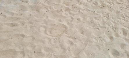 image of white sand beach on the coast of Brazil on a sunny photo