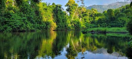 image of river amidst tropical forest and mountains with calm waters photo