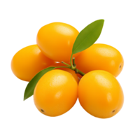 AI generated Kumquats isolated on a transparent background. png