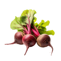 AI generated Beets isolated on a transparent background. png