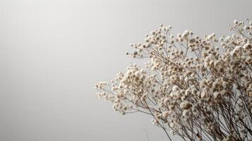 AI generated Dry plants set against neutral backgrounds, creating serene and elegant compositions photo