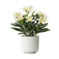 AI generated Flower tree in the pot isolated on a transparent background. png