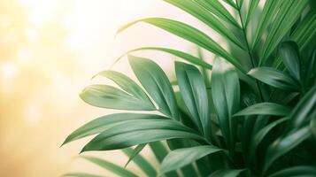 AI generated Sparse tropical leaves against clean backgrounds, evoking a sense of calmness and tranquility photo