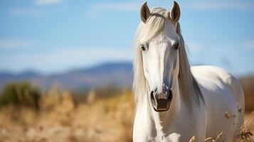 ai generado blanco caballo de cerca retrato foto