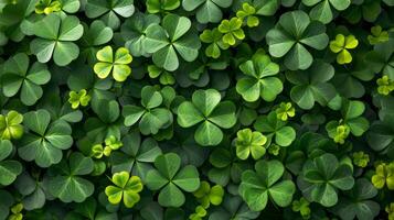 AI generated Pictures showcasing vibrant green shamrocks adorning streets, buildings photo