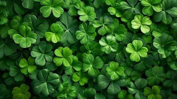 AI generated Pictures showcasing vibrant green shamrocks adorning streets, buildings photo