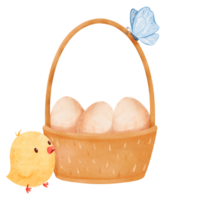 Watercolor illustration of a scene featuring a woven basket filled with eggs and a small yellow chick. for delightful and festive atmosphere. for stock use in Easter-themed designs, cards, and prints png