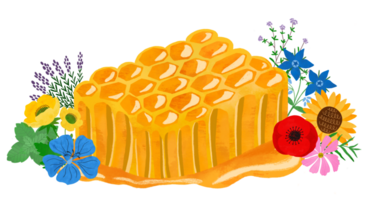 Floral honey piece element isolated. Yellow sweet honeycomb illustration in childish style with meadow or wild flowers. Cute organic food, slice of honey, hand drawn cartoon healthy product. png