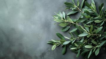 AI generated Wild olive branches which are set against a gray background photo