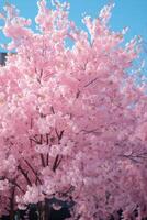 ai generado un majestuoso Cereza florecer árbol, sus rosado pétalos formando un pabellón de serenidad foto