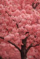 ai generado un majestuoso Cereza florecer árbol, sus rosado pétalos formando un pabellón de serenidad foto