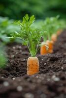 AI generated Carrot tops peeking out of the soil, hinting at the hidden treasures below photo