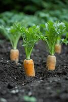 AI generated Carrot tops peeking out of the soil, hinting at the hidden treasures below photo