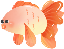 Cute gold fish png