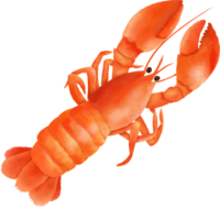 Fruit de mer Homard animal png