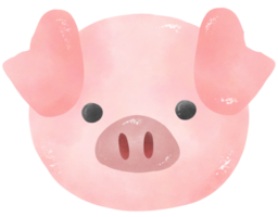 porc tête animal png