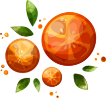 the three juicy bright oranges in flat style png