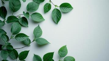 AI generated Crisp, emerald leaves on minimalist branches showcase the lushness of the season photo