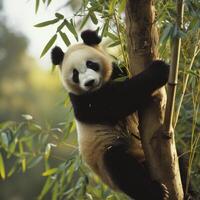 AI generated A panda effortlessly ascends a bamboo tree, displaying agility photo