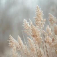 AI generated Natural Minimalist Background with dry grass photo