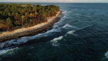 Tropical ocean coastline with palms and warm sunrise at Maldive island video