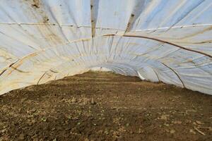 Greenhouses made of polymer film. Early spring in the garden greenhouses photo