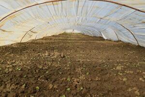 Greenhouses made of polymer film. Early spring in the garden greenhouses photo