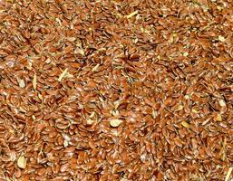 Flax seeds. Storage of flax seeds. Flax, essential oil culture. A handful of flax seeds. photo