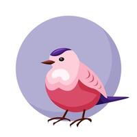 The design of pink little bird in the cartoon style. Bird on blue background from circle for the design of layouts, cards and infographics. Minimalistic spring composition. vector