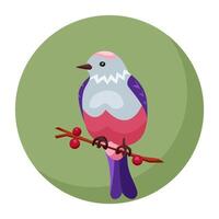 The design of small bird in pink and blue in cartoon style. Bird on green background from circle for the design of layouts, cards and infographics. Minimalistic spring composition. vector