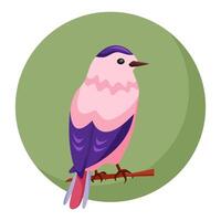 The design of small bird in pink and purple in cartoon style. Bird on green background from circle for the design of layouts, cards and infographics. Minimalistic spring composition. vector