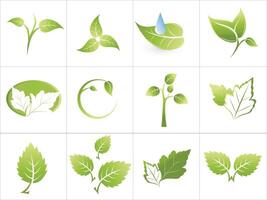 Various shapes of green leaves of trees and plants. Leaf icon vector set isolated on white background. Element for eco and bio logo.