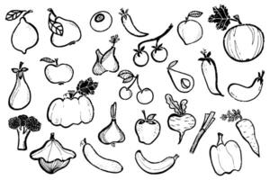 a set of hand drawn vegetables and fruits vector