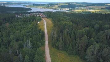 Aerial village road through the forest and the fields. Clip. Road leading through forest in village. Aerial view video