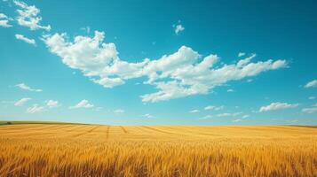 ai generado hermosa natural antecedentes con amarillo campo y azul cielo grande copyspace zona con Copiar espacio para texto foto